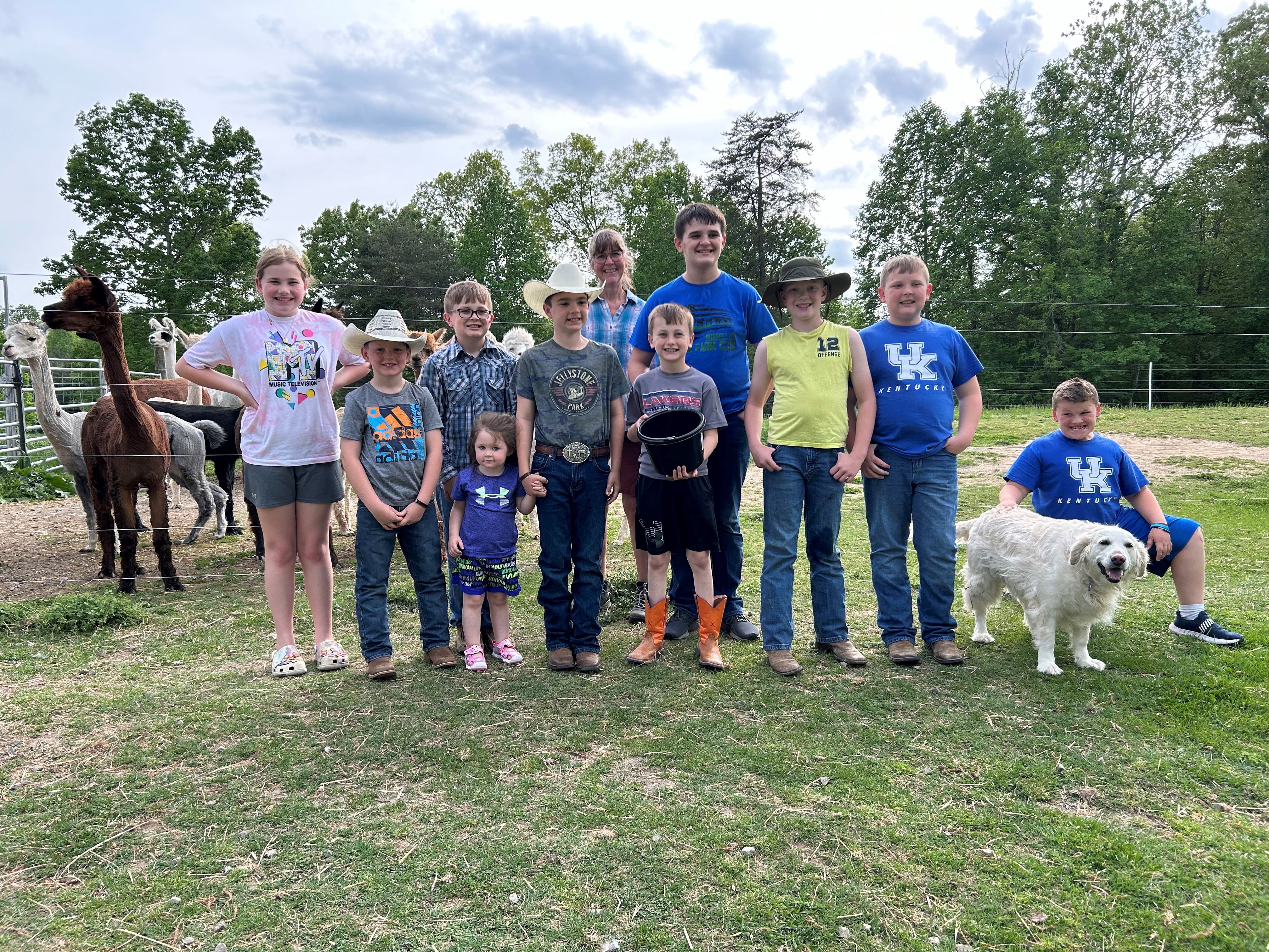 Children with alpacas & dog