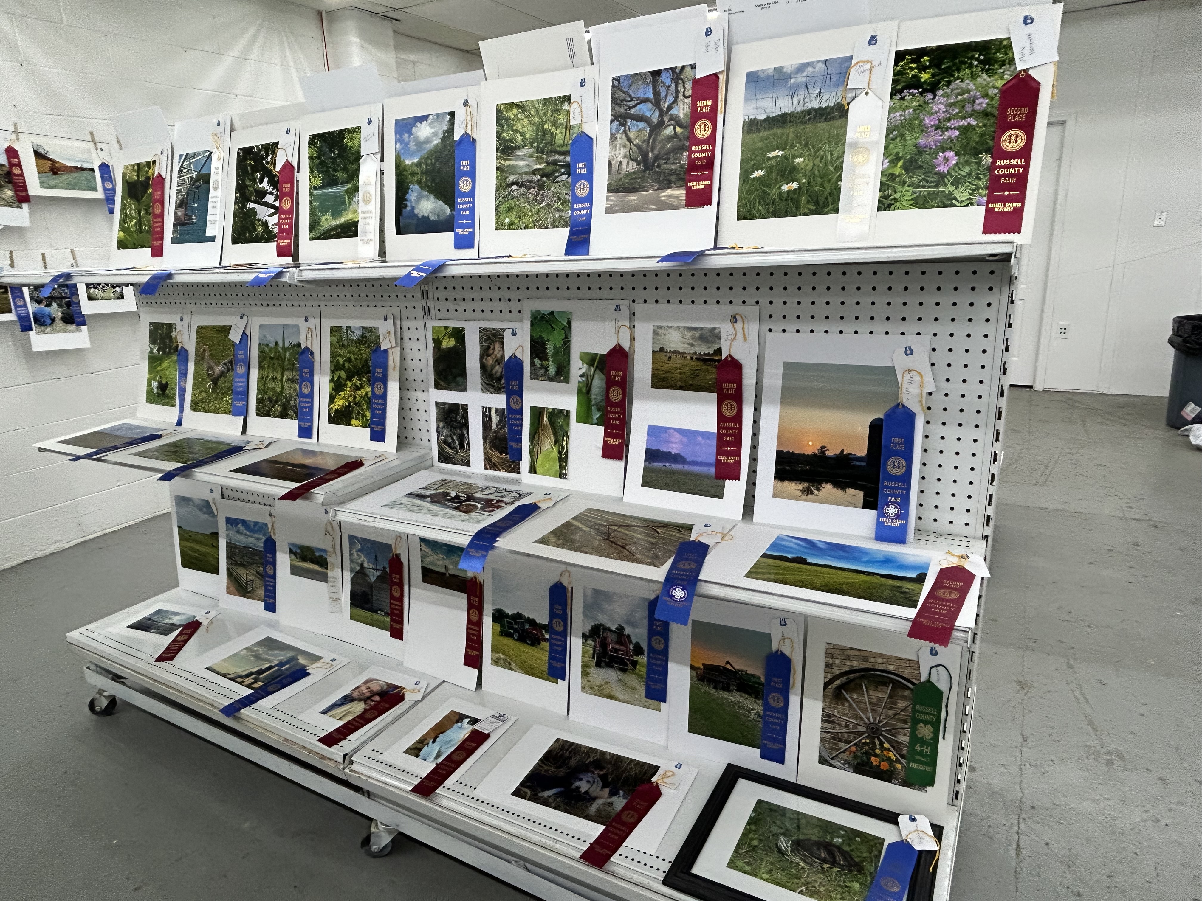 floral hall display