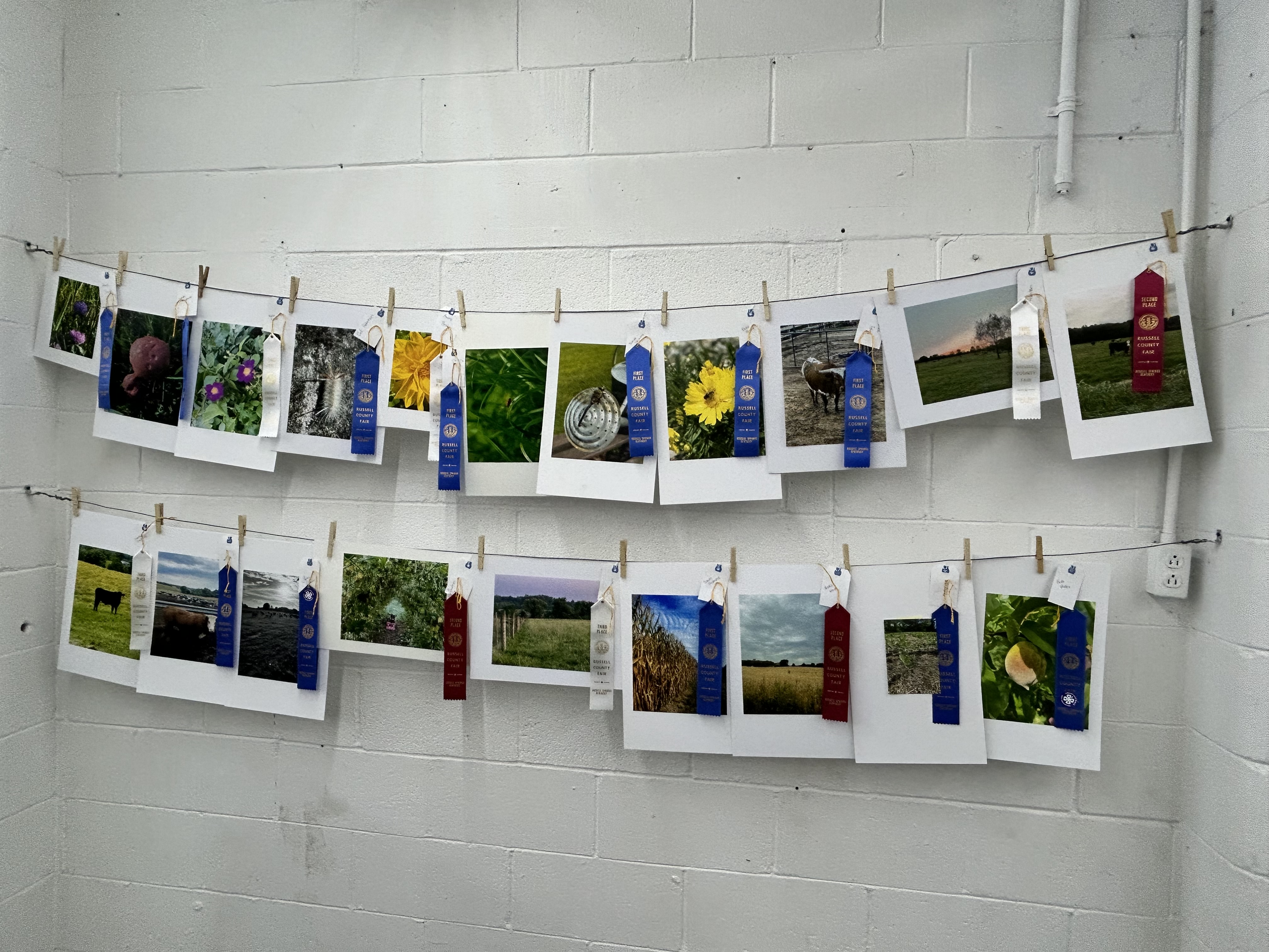 floral hall display