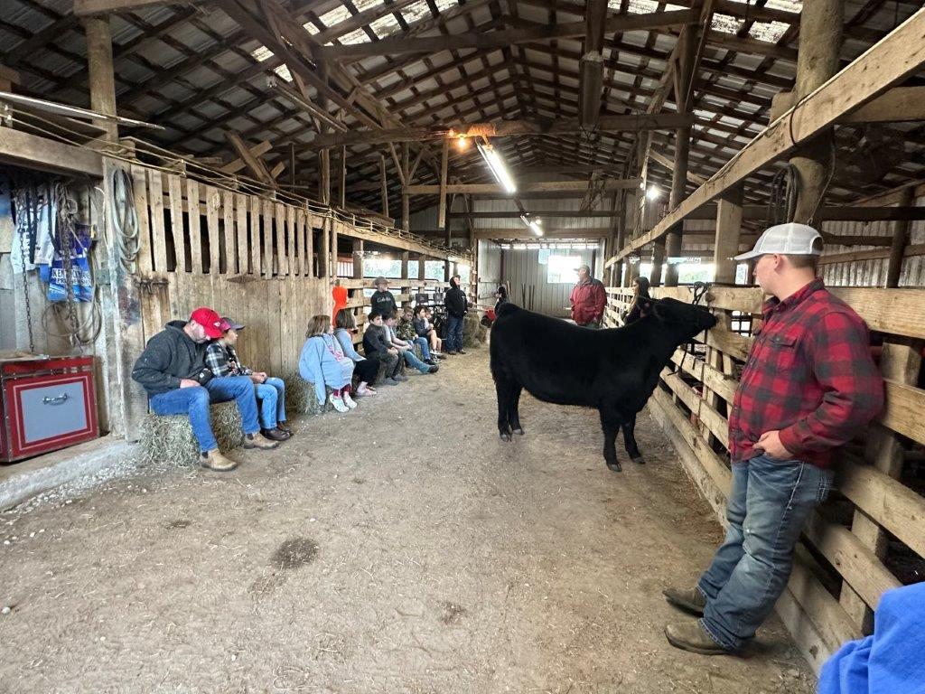 children in a barn with a cow