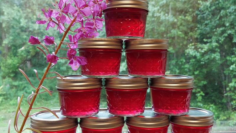 jelly in jars